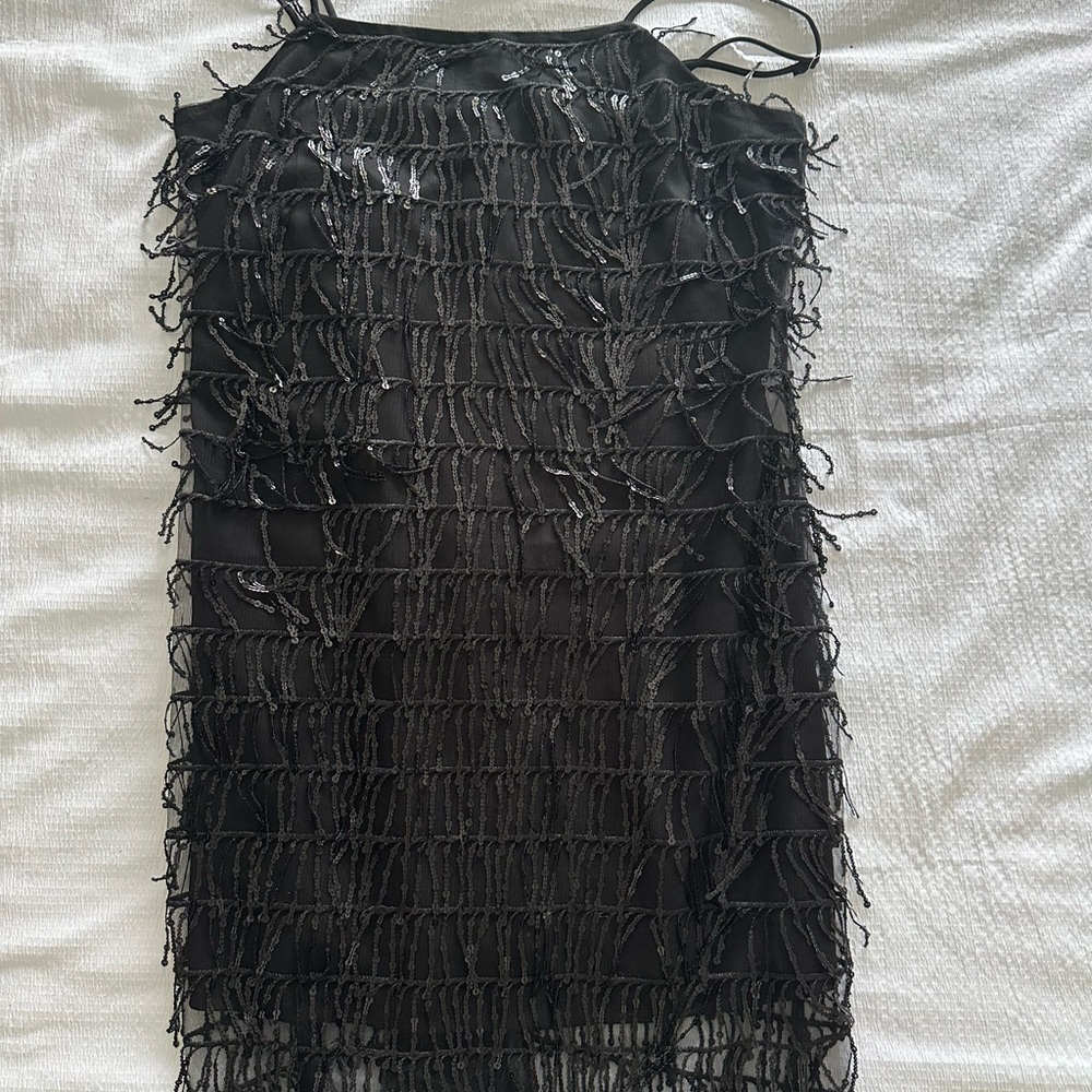 Black Fringe Sequin Dress